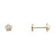 Pendientes Oro 18K, Margarita con circonitas