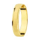 Alianza de Oro Amarillo 18 KILATES Mate-Brillo