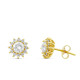 Pendientes de Oro de 18 Kilates y Diamantes
